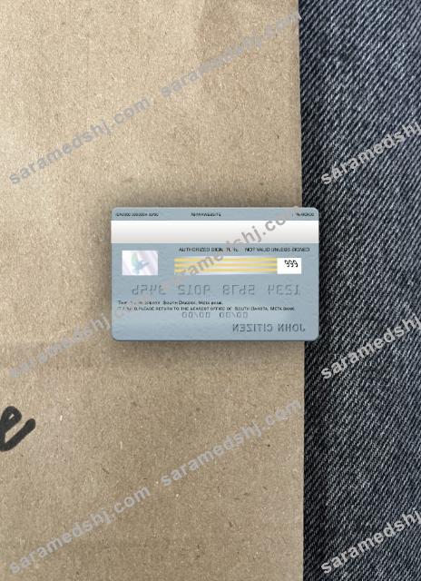 USA South Dakota Metabank visa card photolook back